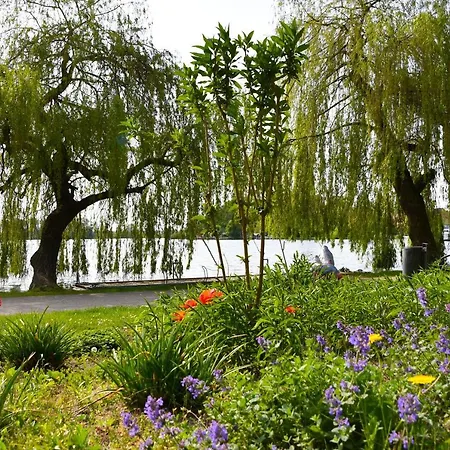 Lägenhet Elegantes & Modernes Neli Mit Terrasse, 100m Zum Hafen Mueritz *