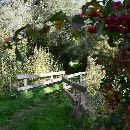 Lägenhet Elegantes & Modernes Neli Mit Terrasse, 100m Zum Hafen Mueritz