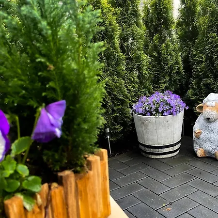 Apartamento Elegantes&modernes Neli Mit Terrasse, 100m Zum Hafen Müritz