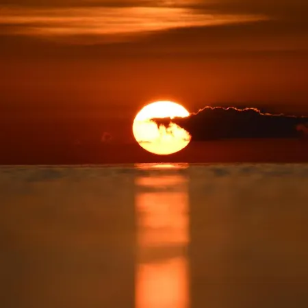 Elegantes & Modernes Neli Mit Terrasse, 100m Zum Hafen Mueritz