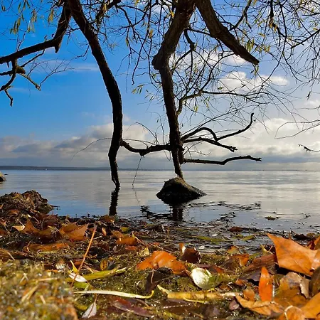 Lägenhet Elegantes & Modernes Neli Mit Terrasse, 100m Zum Hafen Mueritz Röbel